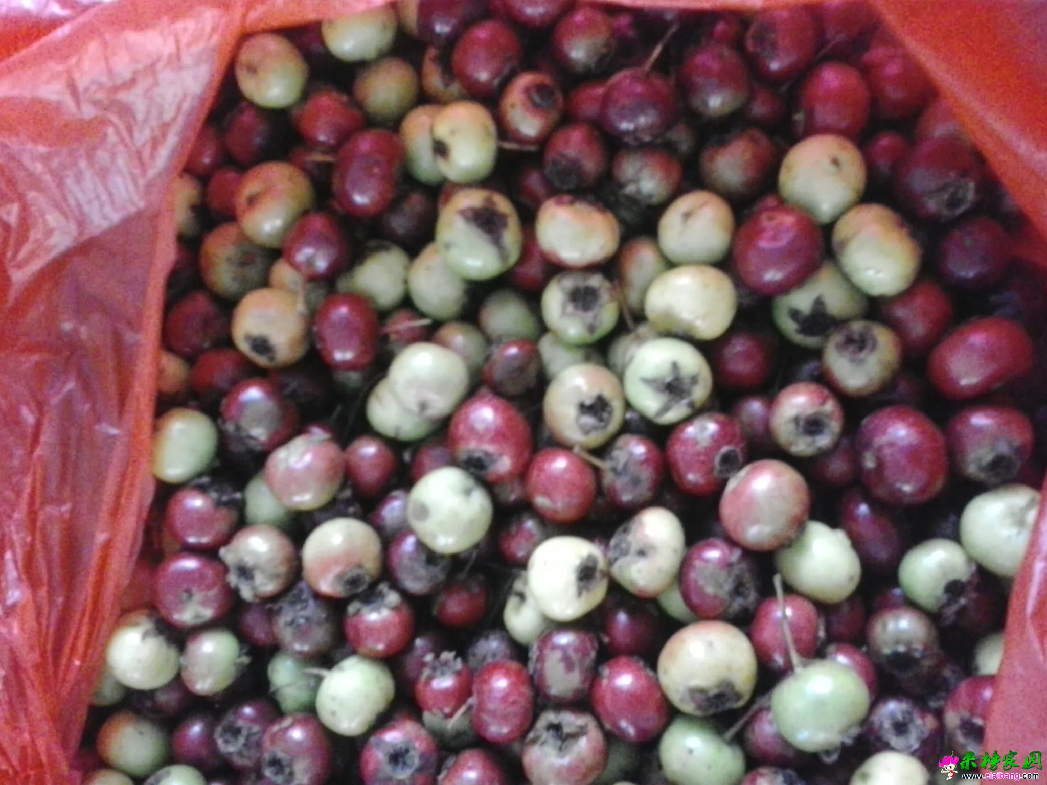20140906_165017.webp