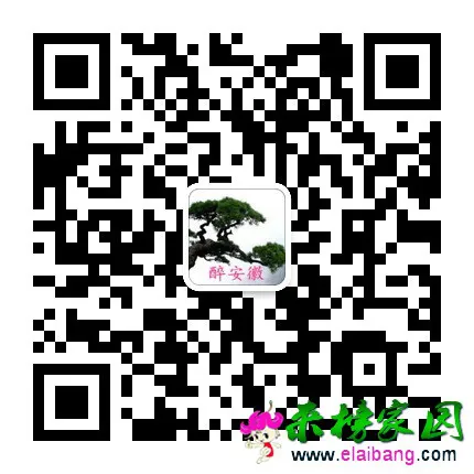 getqrcode.webp