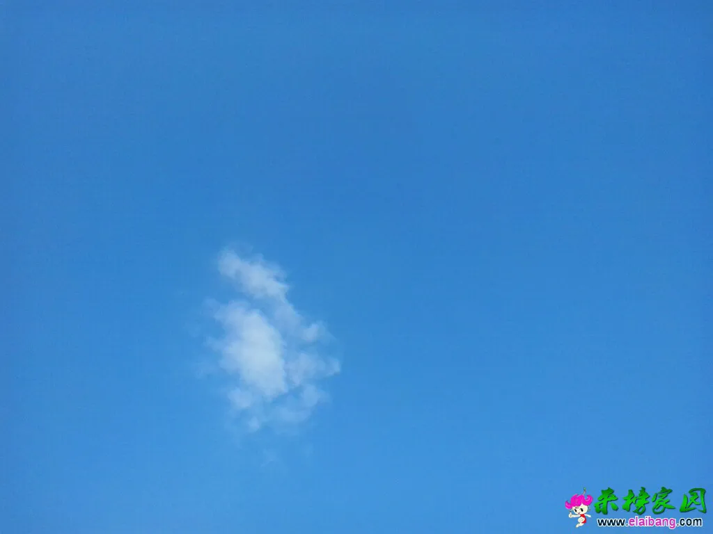 170946f3h0bozhohf0fbqz.webp
