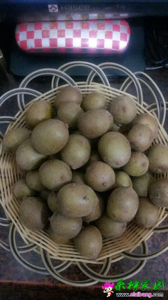 QQ图片201409072118058888.webp