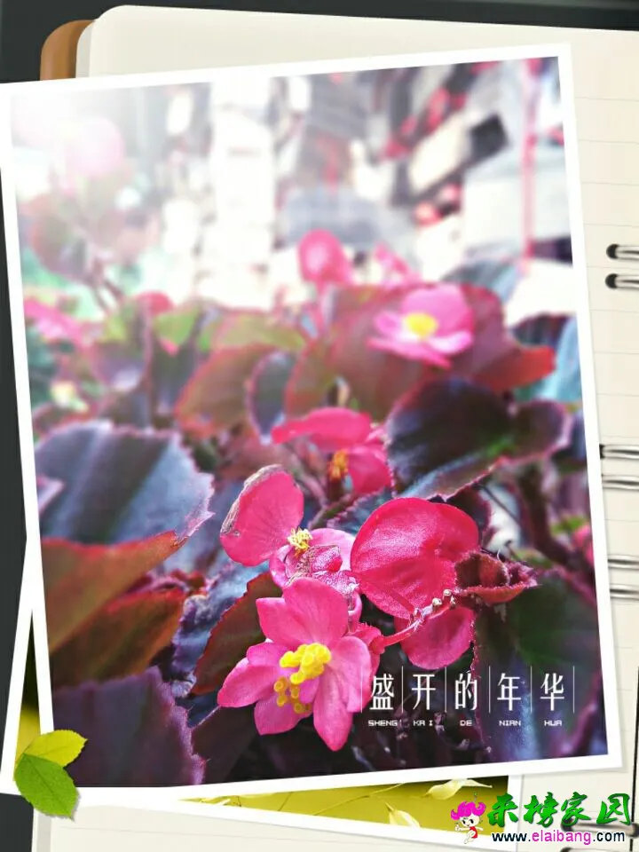 QQ图片20140909103430.webp