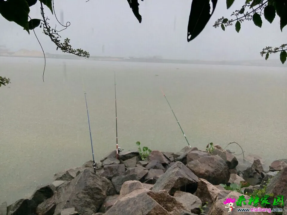 QQ图片20140909111709.webp