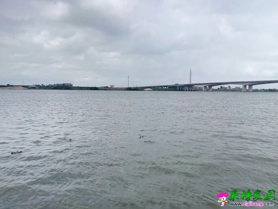 QQ图片20140909111718.webp