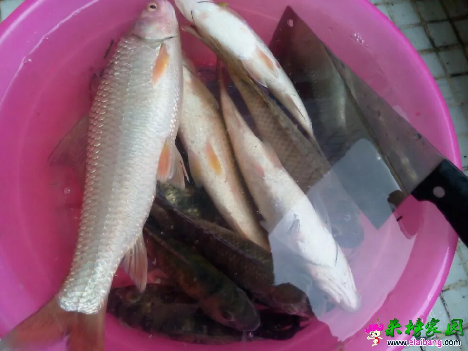 QQ图片20140909111729.webp
