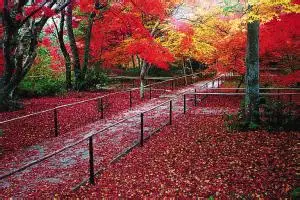 u=3229311429,2839326771&amp;fm=21&amp;gp=0.webp