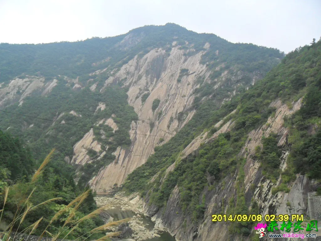 SAM_1535.webp