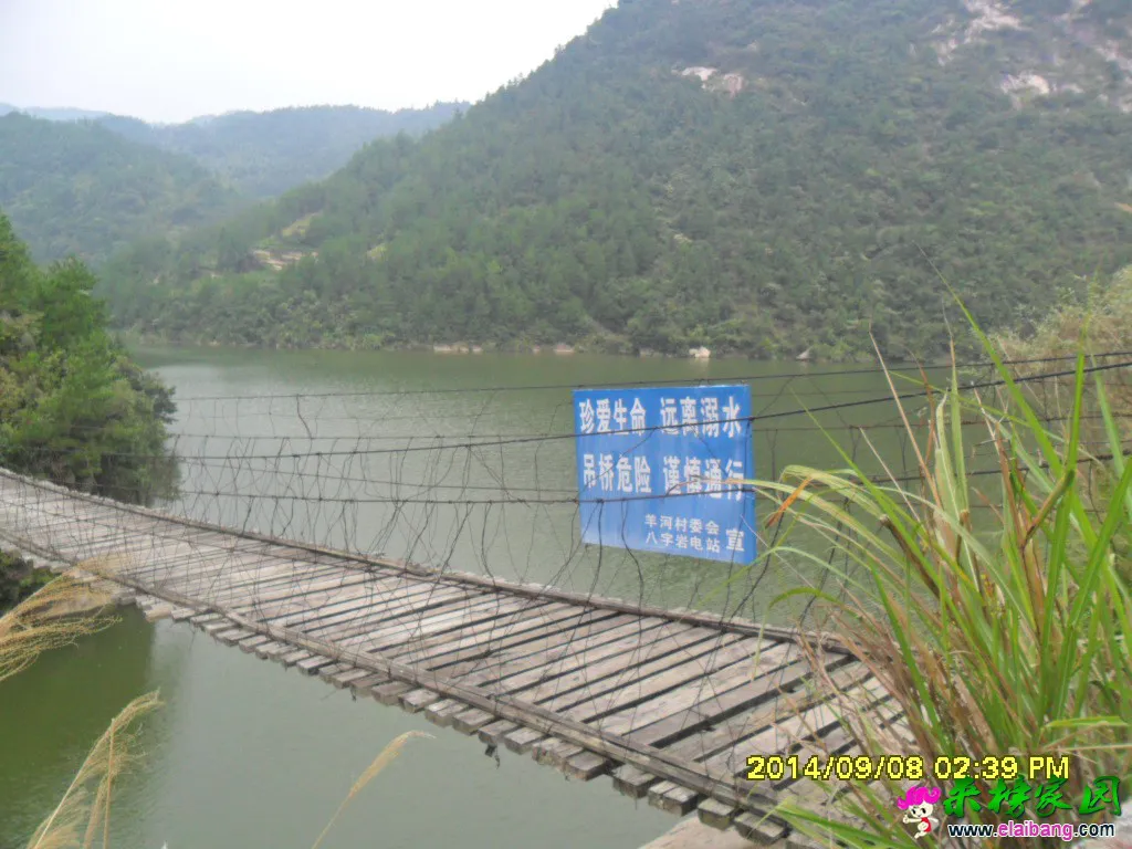 SAM_1537.webp