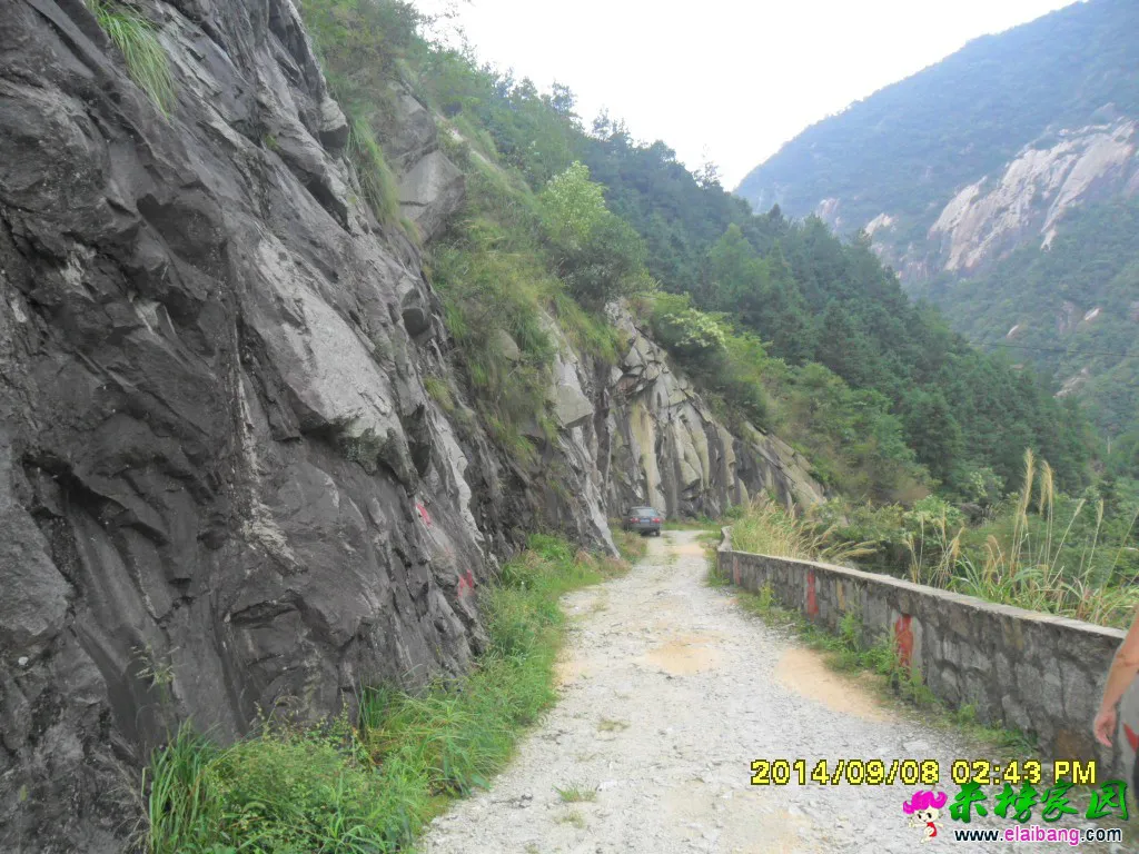 SAM_1548.webp