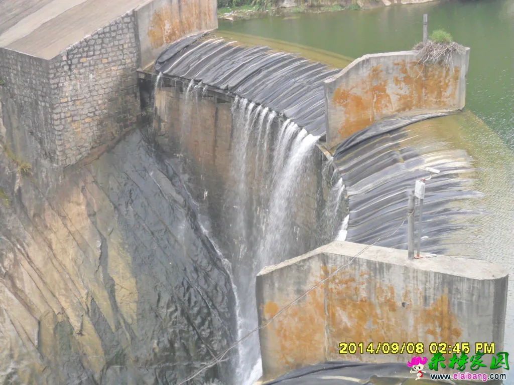 SAM_1551.webp