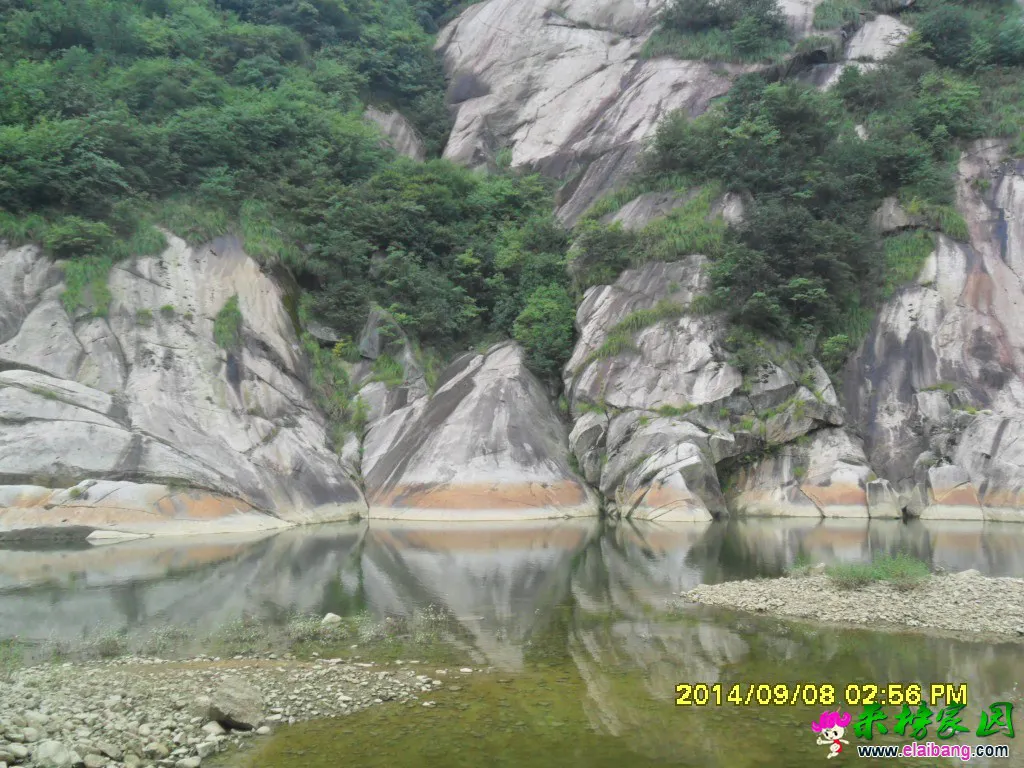 SAM_1558.webp