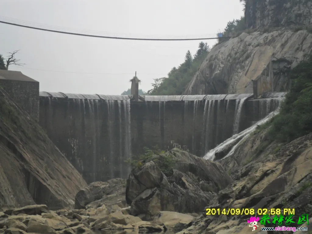 SAM_1565.webp