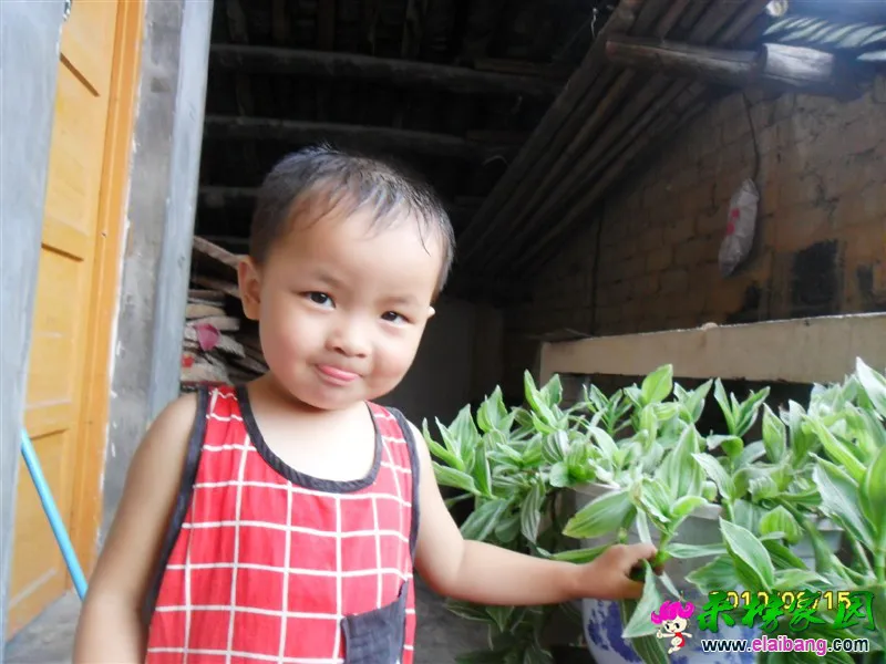 VBCVBCVB.webp