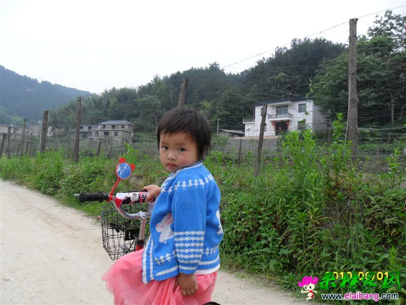XCGDFG.webp
