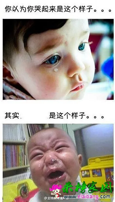460 (1).webp