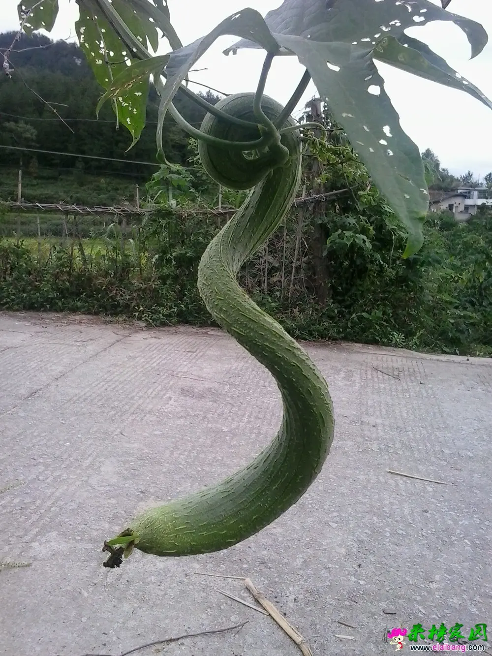 20140913_163615_副本.webp