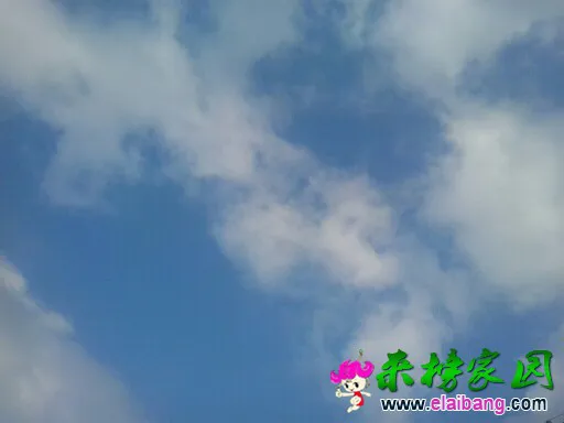 203739et8w770073v1idtv.webp