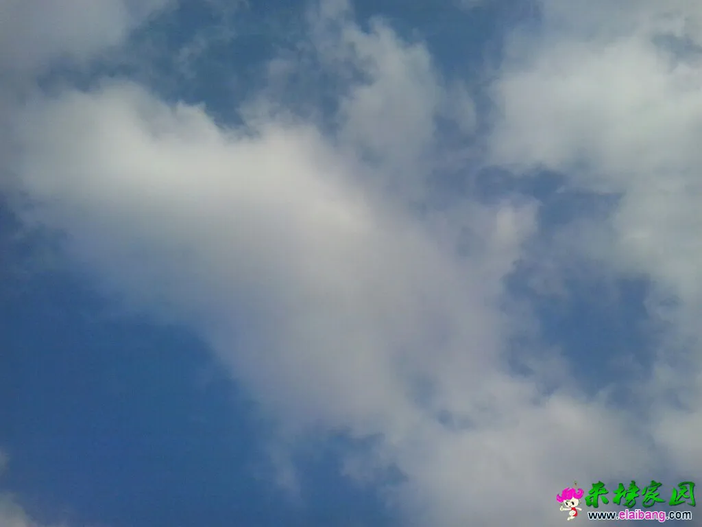 203750ld8b8pbh8a4yda0c.webp