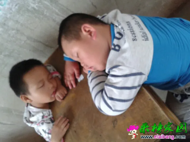 124630he7v97otl1ow5p7g.webp