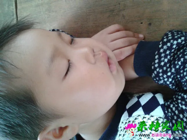 124632jyt3yjqojgtoghqd.webp
