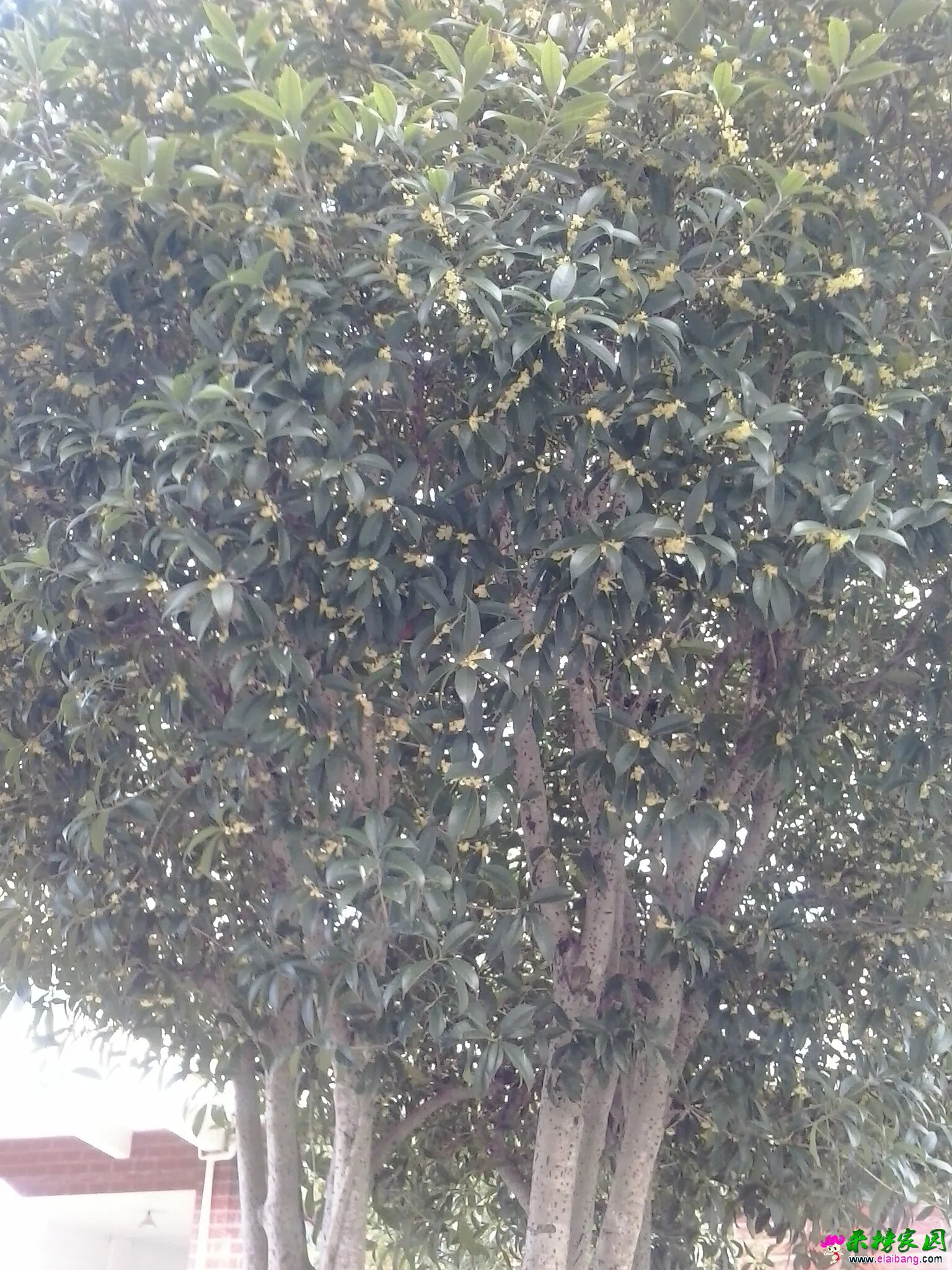 QQ图片20140920084209.webp