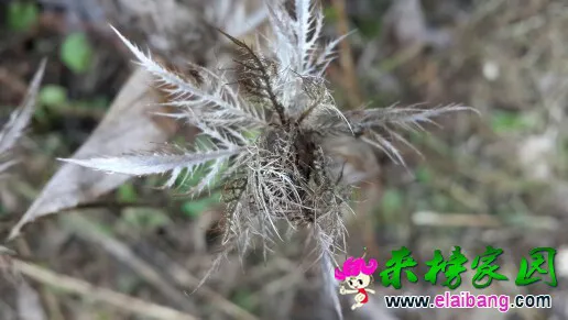 174536kimshice7zy0keyi.webp