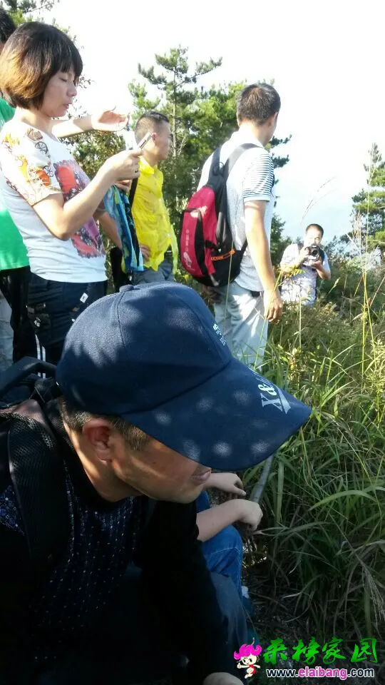 QQ图片201409202032486.webp