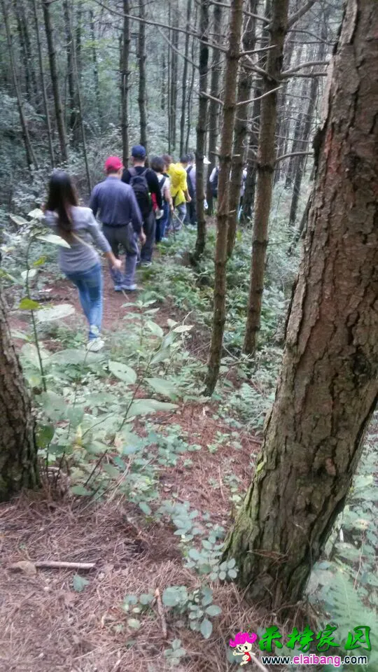 QQ图片201409202032557.webp