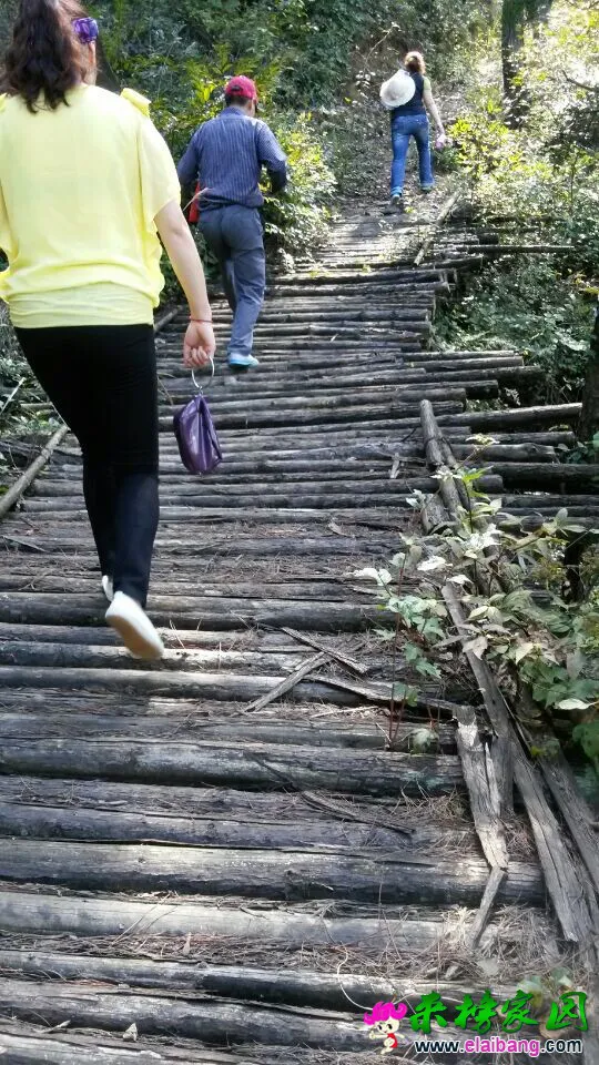 QQ图片2014092020332800.webp