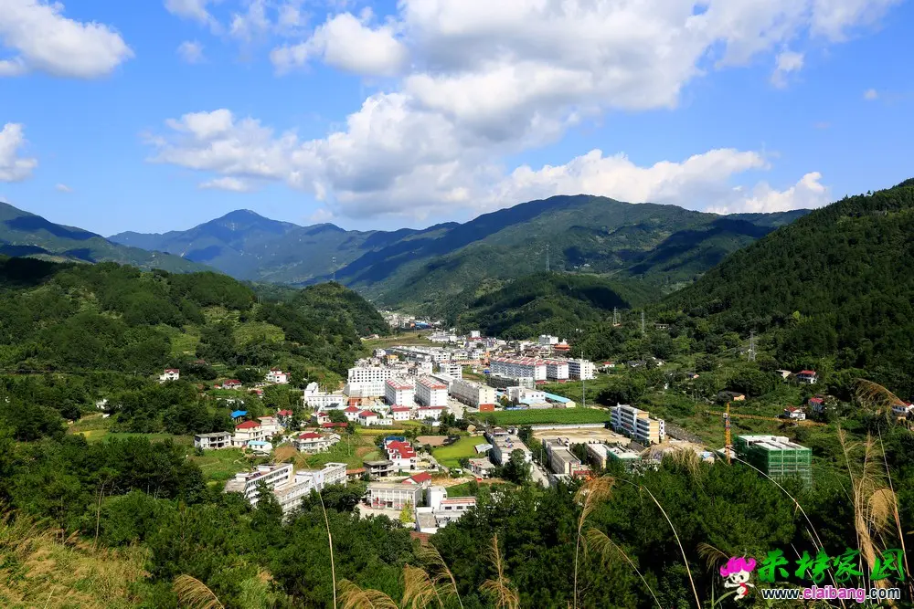 来榜新貌2.webp