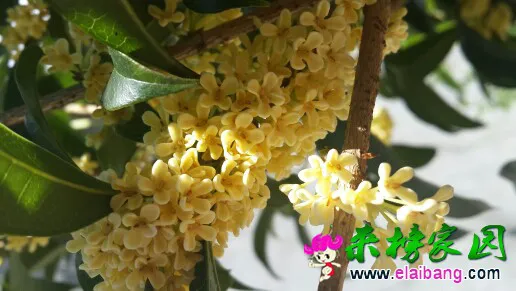 141955exx6v3xjfrfzbsz3.webp