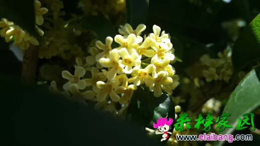 142016bdfb66tgfwqf6tfg.webp