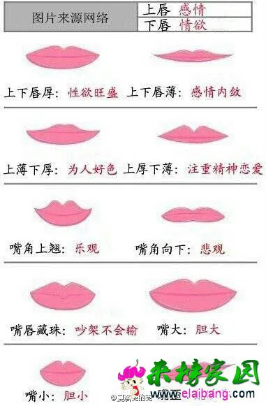 102108nboecgcyrb8rcg97.webp
