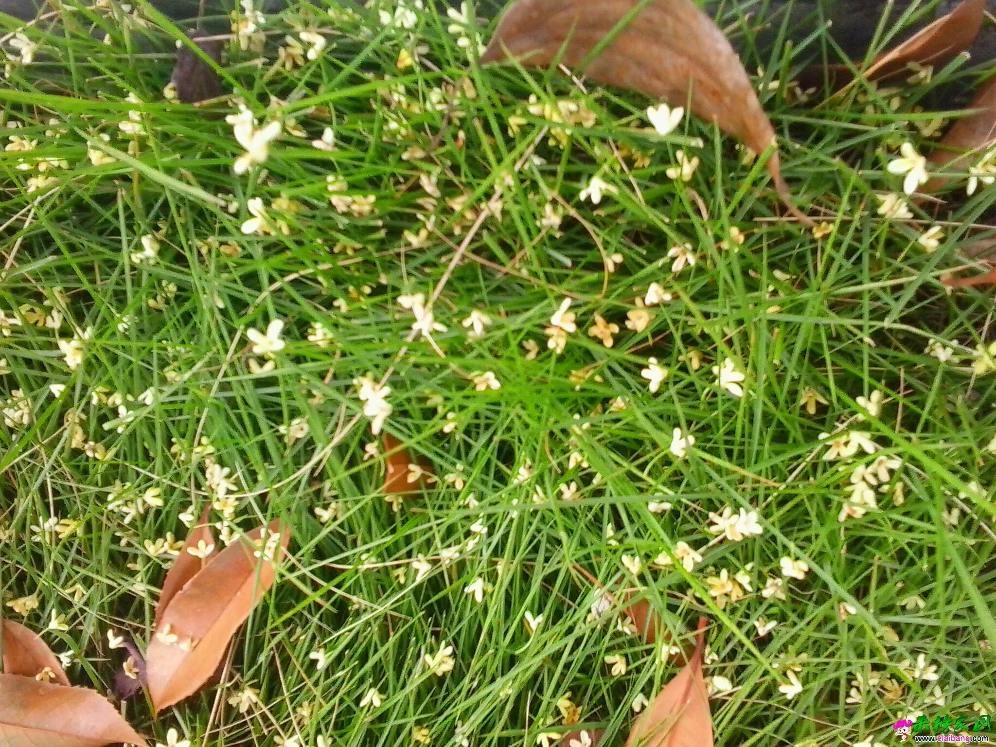 QQ图片20140924123616.webp