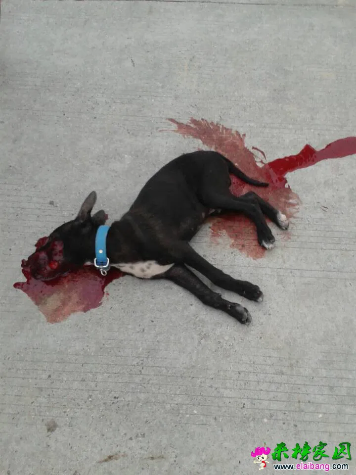 QQ图片20140924181837.webp
