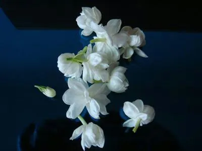 205808zud7yz7y9ezzutx3.webp