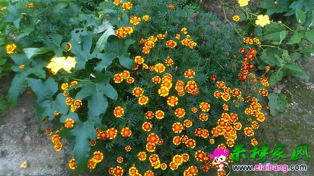 130214sp8p7j9n3p43ellr.webp