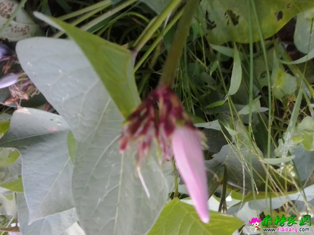 120939muu73tc8qou4so38.webp