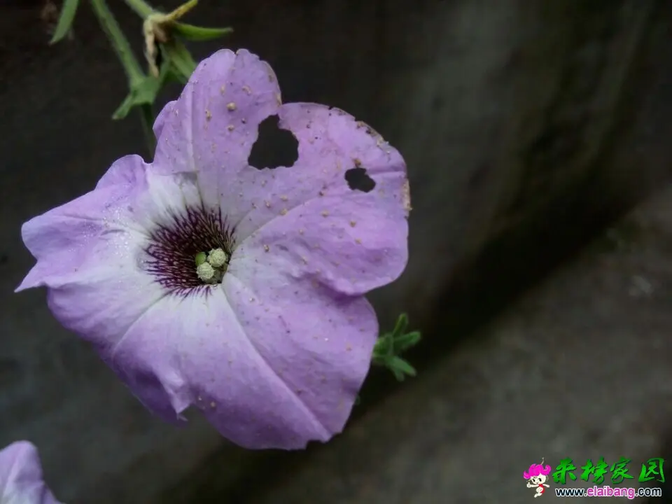 QQ图片20140930131443.webp