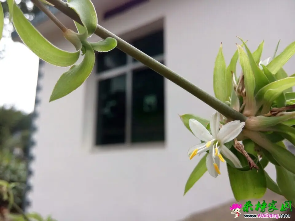 QQ图片20140930131452.webp
