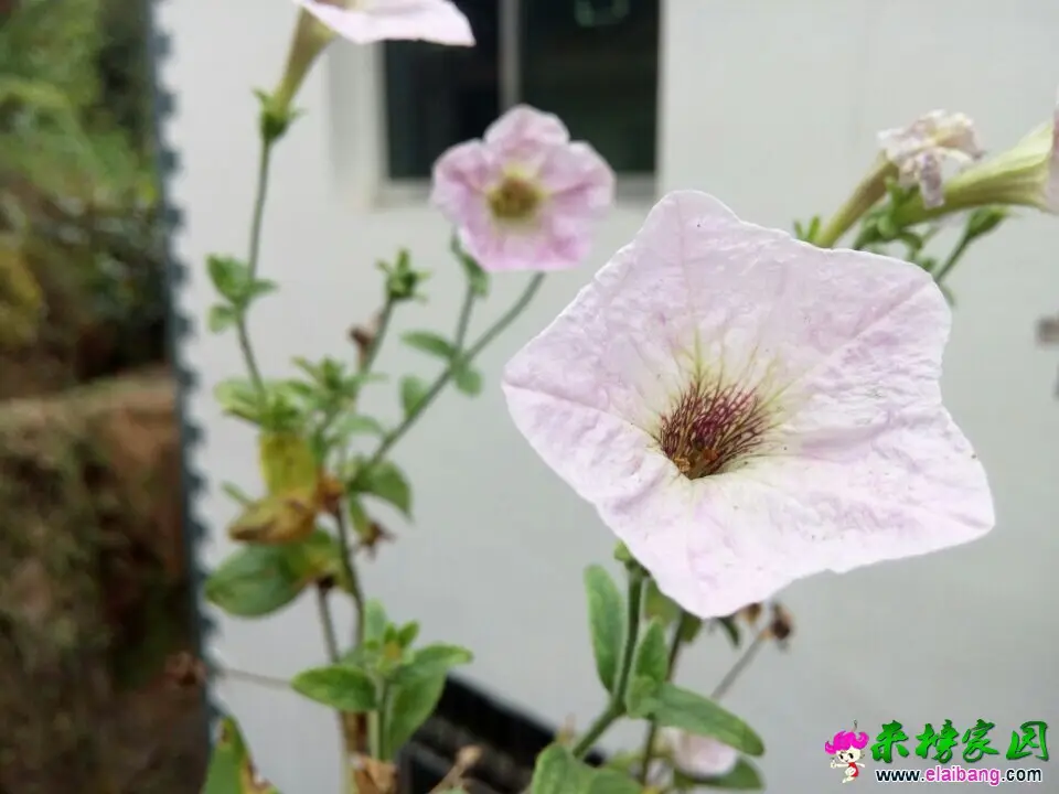 QQ图片20140930131500.webp