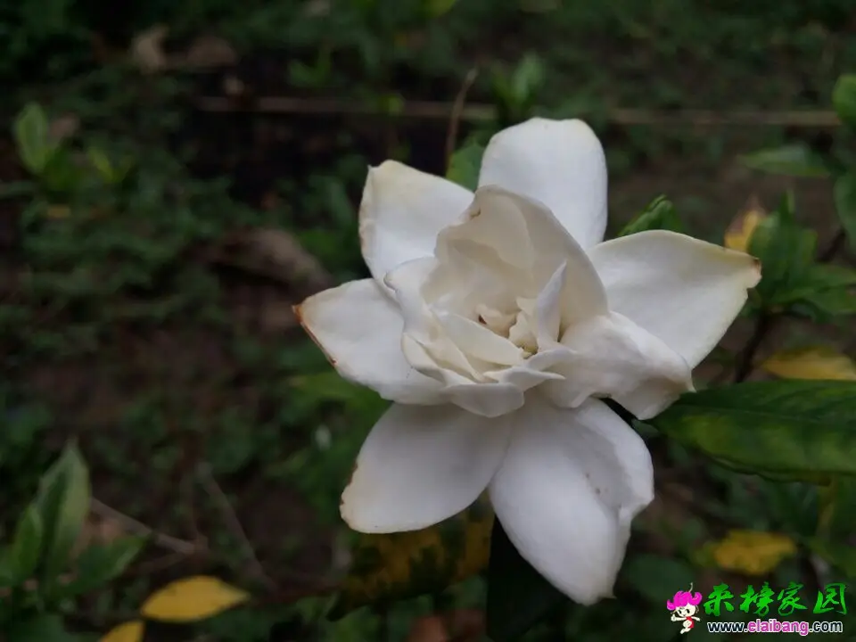QQ图片20140930131514.webp
