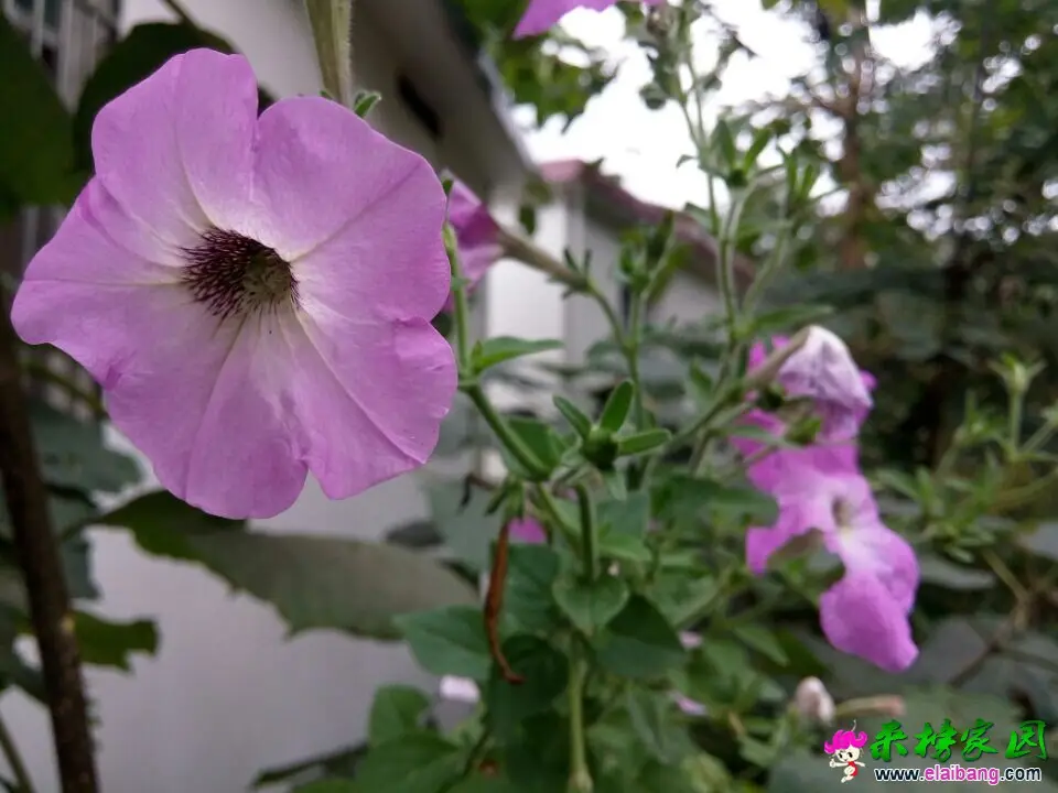 QQ图片20140930131519.webp