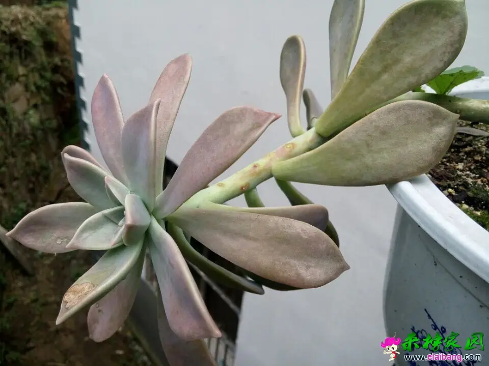 QQ图片20140930131524.webp