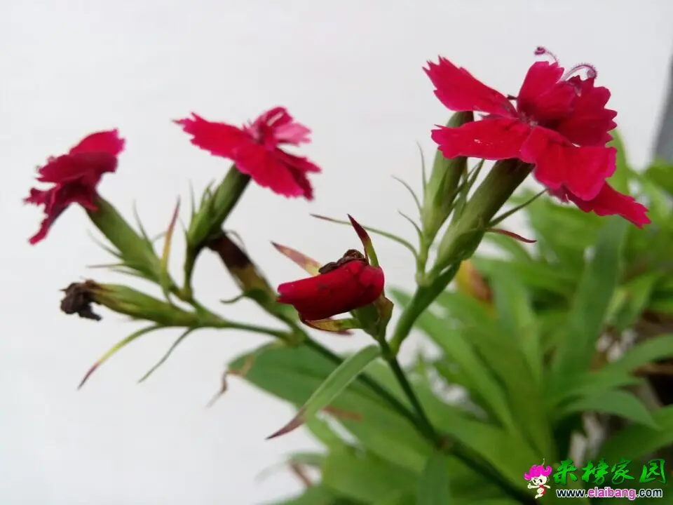QQ图片20140930131528.webp