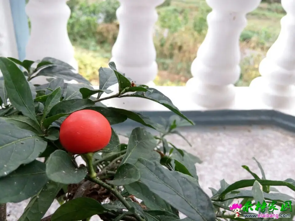 QQ图片20140930131541.webp