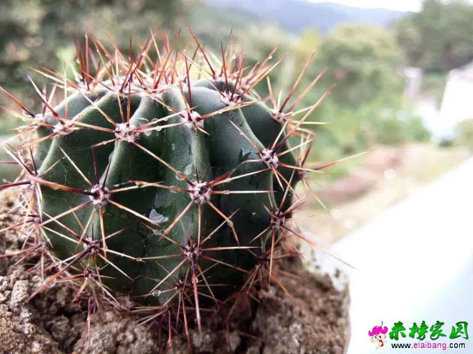 QQ图片20140930131614.webp