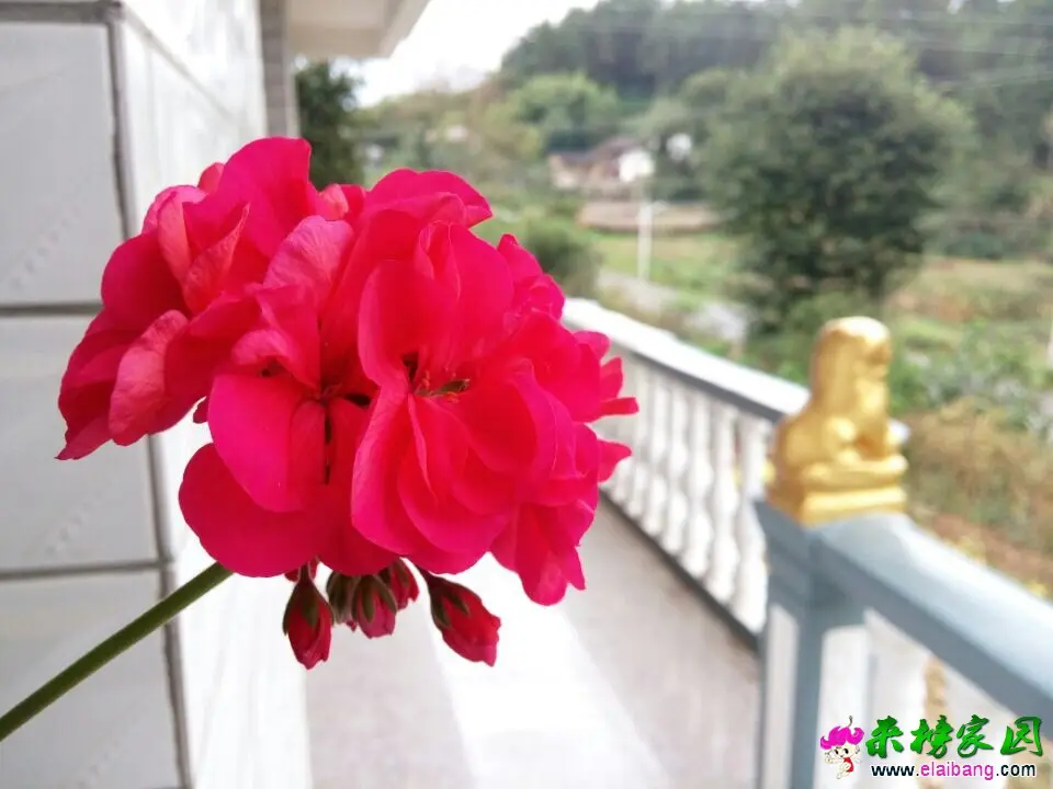 QQ图片20140930131639.webp