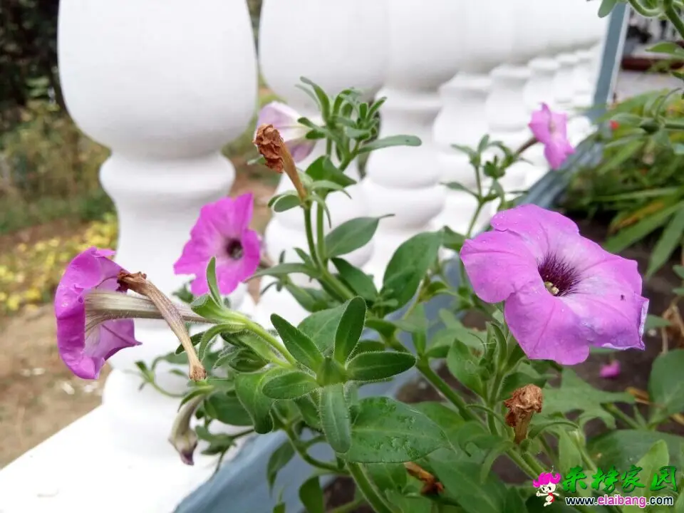 QQ图片20140930131651.webp