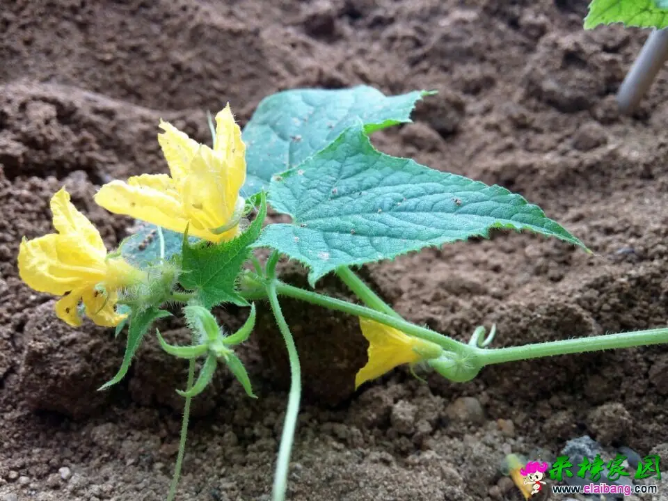 QQ图片20140930131715.webp