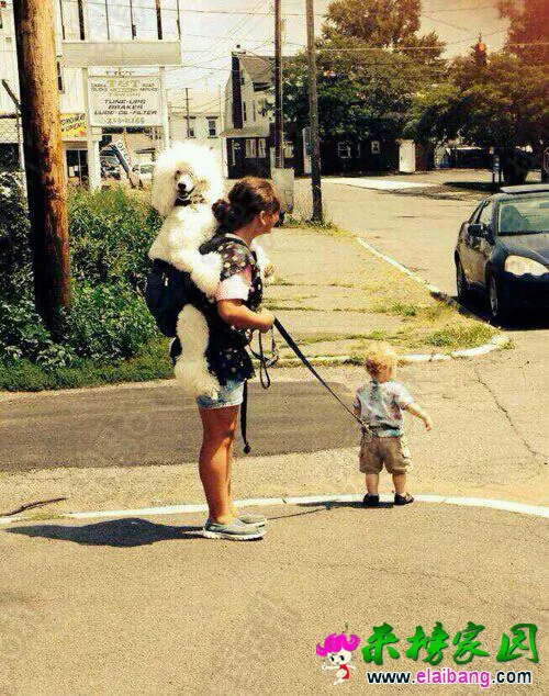 044247ocorpk559p5zv5dn.webp